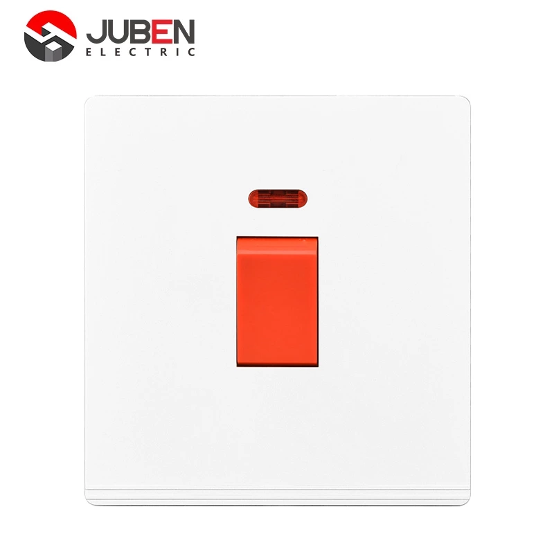 20A DP SWITCH NEON