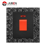 20A DP SWITCH NEON