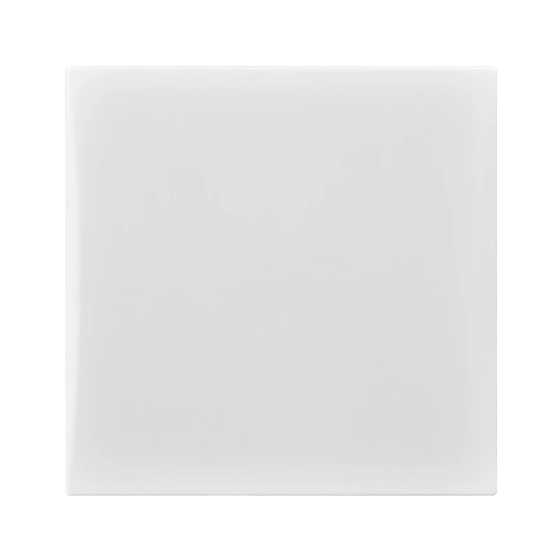 10A 1 GANG 1 WAY SWITCH